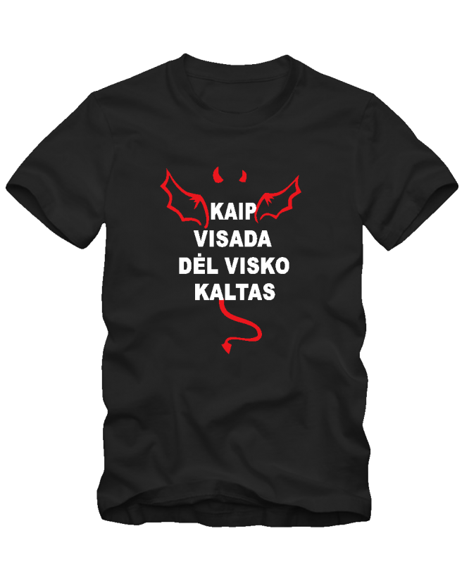Dėl visko kaltas
